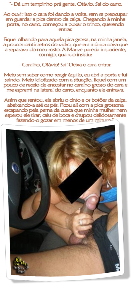 Foto 3 do Conto erotico: Eu não imaginava que minha mulher…