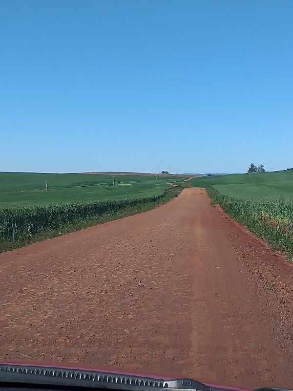 Foto 3 do Conto erotico: TI fazenda com Guto