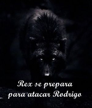 Foto 2 do Conto erotico: Paixão Animal - Rex ataca Rodrigo - Quarta Parte