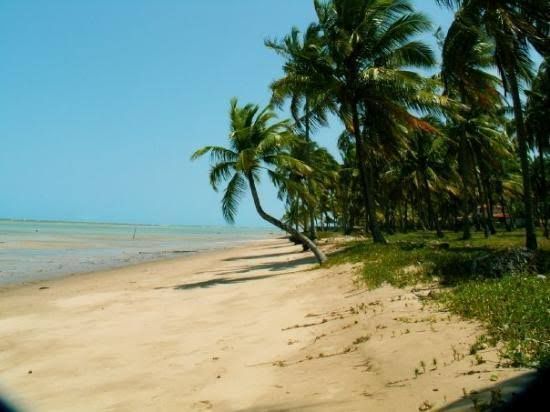 Foto 1 do Conto erotico: Férias em Jeri