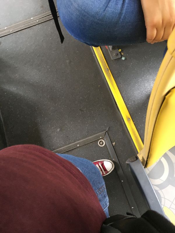 Foto 2 do Conto erotico: Punheta no ônibus pra pinheiros