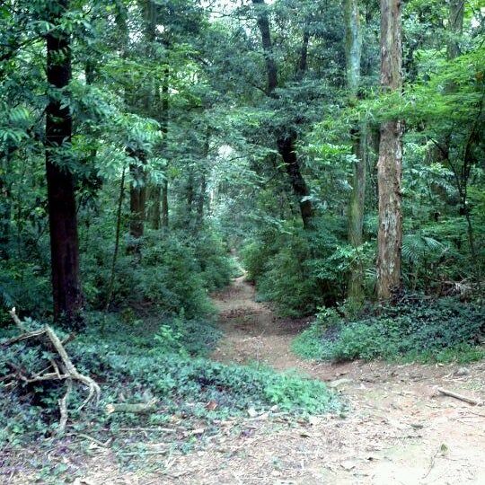 Foto 1 do Conto erotico: Minha 2 transa com outro Homem no Arboreto Vila Amalia