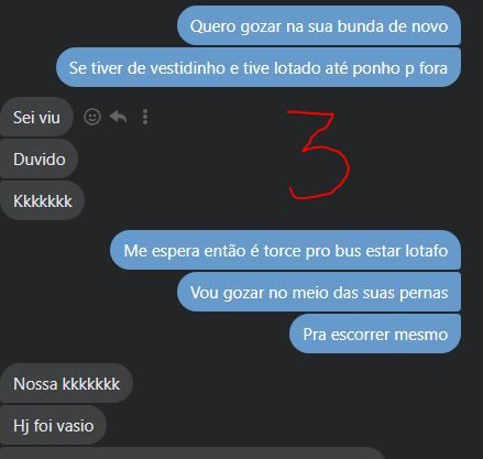 Foto 3 do Conto erotico: Segundo conto - Começando a contatar a moreninha safada