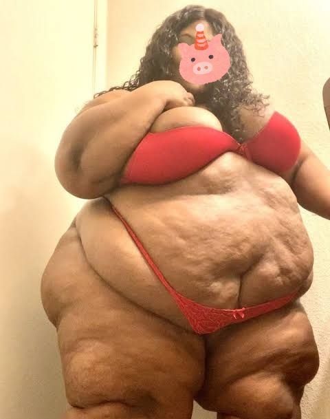 Foto 1 do Conto erotico: A modelo gorda parte II