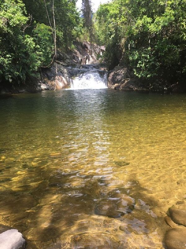 Foto 1 do Conto erotico: Indo com tor no Rio do sítio