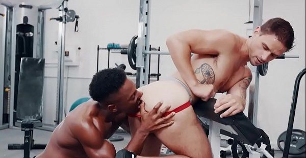 Foto 1 do Conto erotico: Dois Machos Brutos E O Boyzinho Do Condomínio